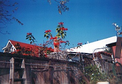 1995 - USA 35 (San Diego - Old Town)